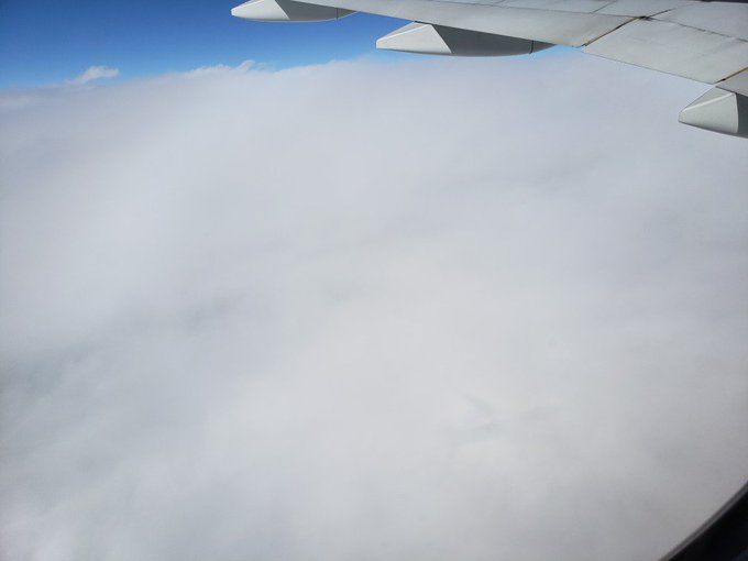 飛行機の影が影鰐みたいになってる 飛行機の影が影鰐みたいになってる