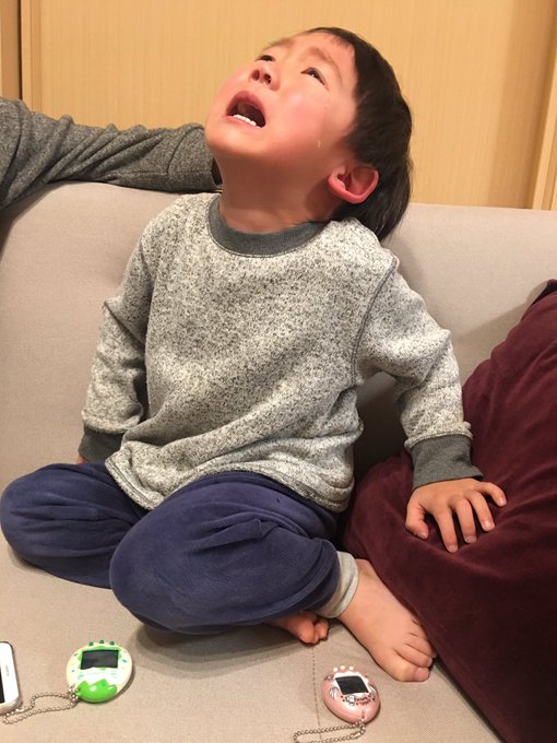 たまごっちが死んでしまい、泣いてしまう優しい息子が手足口病になってしまった。大丈夫らしいが心配、俺も何やら喉が激痛なので たまごっちが死んでしまい、泣いてしまう優しい息子が手足口病になってしまった。大丈夫らしいが心配、俺も何やら喉が激痛なので