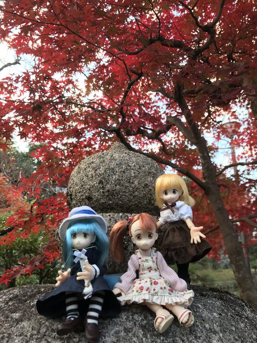 紅葉の季節なのです上野公園も綺麗なんだろうなぁ行きたいぃぃぃ#三ツ星カラーズ 紅葉の季節なのです上野公園も綺麗なんだろうなぁ行きたいぃぃぃ#三ツ星カラーズ