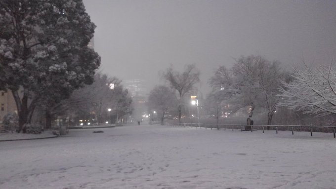 1月、雪がめっちゃ降って上野公園でおおはしゃぎ(1人)!たぶん三ツ星カラーズのせい、雪すぎる!何故か地鶏を撮りまくる。 1月、雪がめっちゃ降って上野公園でおおはしゃぎ(1人)!たぶん三ツ星カラーズのせい、雪すぎる!何故か地鶏を撮りまくる。