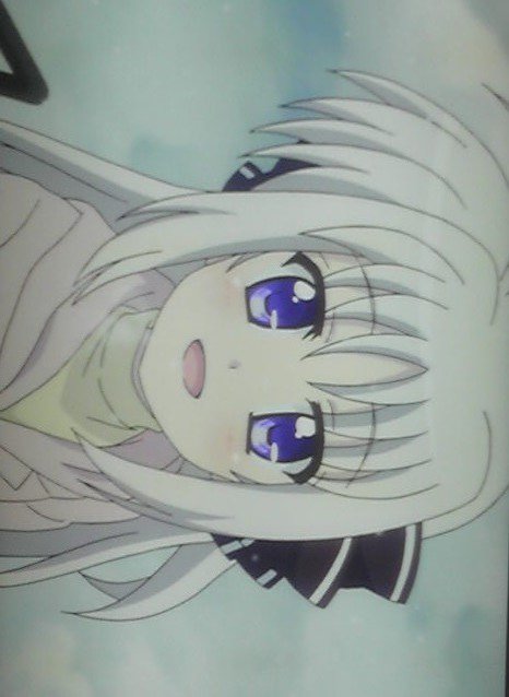 VIVID STRIKE 強い子 VIVID STRIKE 強い子