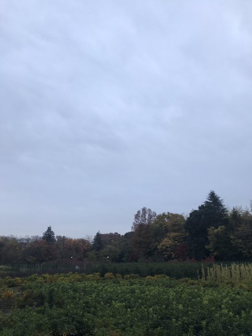 刻刻 (あいだ30分) 刻刻 (あいだ30分)