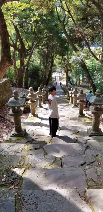 万松院では静かな空気が流れていました。空気が澄んでいてとても気持ちがよかったです!#アンゴルモア 万松院では静かな空気が流れていました。空気が澄んでいてとても気持ちがよかったです!#アンゴルモア