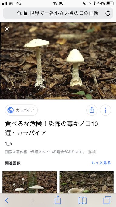 史上最強の弟子ケンイチ面白いよね 史上最強の弟子ケンイチ面白いよね