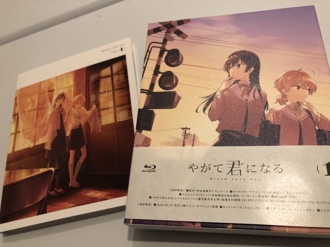 「やがて君になる」Blu-ray&DVDすごいですよ。買えばついてる特典がすごいまず描き下ろしイラストが尊い(初 「やがて君になる」Blu-ray&DVDすごいですよ。買えばついてる特典がすごいまず描き下ろしイラストが尊い(初
