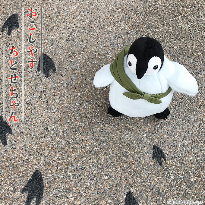🐧#もふもふちとせちゃんのお散歩 🐾今週のお話はいかがでしたか?#ちとせちゃん もたくさんのお友達に囲まれて楽しそうでし 🐧#もふもふちとせちゃんのお散歩 🐾今週のお話はいかがでしたか?#ちとせちゃん もたくさんのお友達に囲まれて楽しそうでし