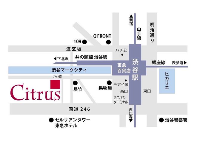 本日オープンのCitrus。 本日オープンのCitrus。