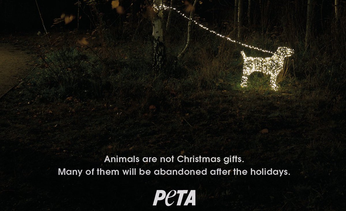RT @IngridNewkirk: Animals are not #Christmas gifts! https://t.co/9FtG7hF7Se