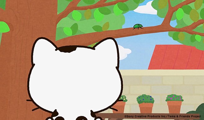 アニメ タマ&フレンズ~うちのタマ知りませんか?~ 今日のお話は「気になるアイツ」タマvsアイツ!勝つのはどっちだ?! アニメ タマ&フレンズ~うちのタマ知りませんか?~ 今日のお話は「気になるアイツ」タマvsアイツ!勝つのはどっちだ?!