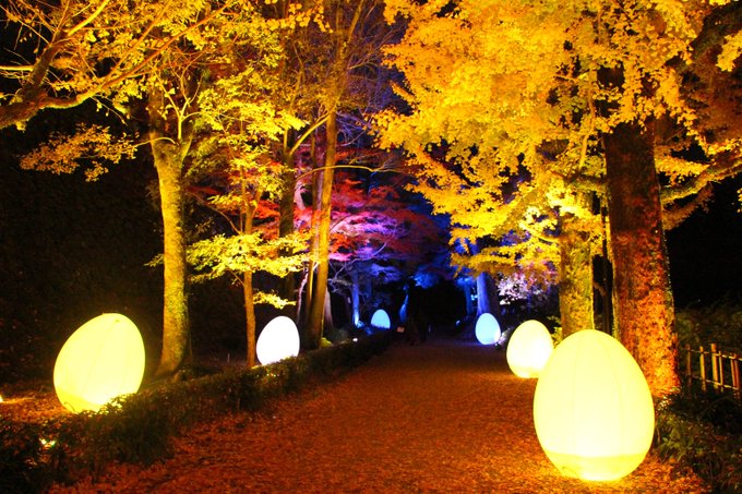 皆さん、もう体感されましたか?「チームラボ 高知城 光の祭」では、高知城にて歴史と現代技術の融合による幻想的な“光のデジ 皆さん、もう体感されましたか?「チームラボ 高知城 光の祭」では、高知城にて歴史と現代技術の融合による幻想的な“光のデジ