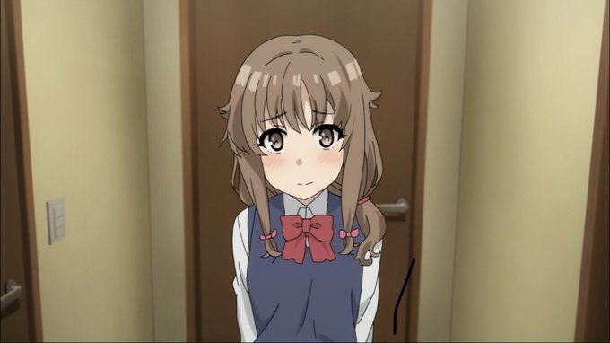 青ブタの翔子ちゃんとかえでちゃんが好きな同士はどのくらいいるのか 青ブタの翔子ちゃんとかえでちゃんが好きな同士はどのくらいいるのか