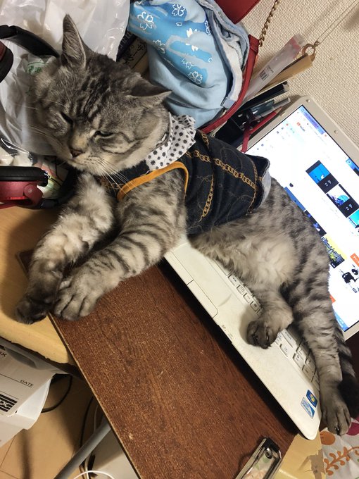 伊藤潤二コレクション絵描きたいのに我が机の上がこんなん 伊藤潤二コレクション絵描きたいのに我が机の上がこんなん