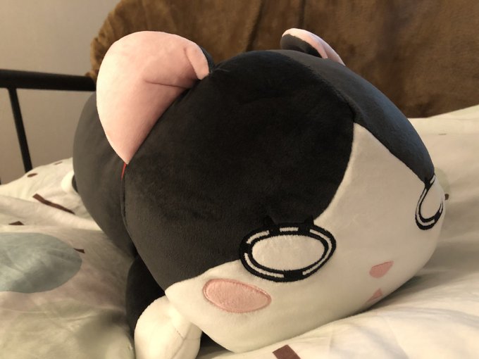 探してた3月のライオンのにゃーまくらアキバで見つけて秒で購入🐱今日はこの子とおやすみなさい 探してた3月のライオンのにゃーまくらアキバで見つけて秒で購入🐱今日はこの子とおやすみなさい