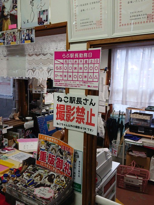 駅猫がいる芦ノ牧温泉駅撮影禁止なのは前もって知ってました残念だけど理由が理由だけに仕方がなし駅長と施設長の写真 左が事務 駅猫がいる芦ノ牧温泉駅撮影禁止なのは前もって知ってました残念だけど理由が理由だけに仕方がなし駅長と施設長の写真 左が事務