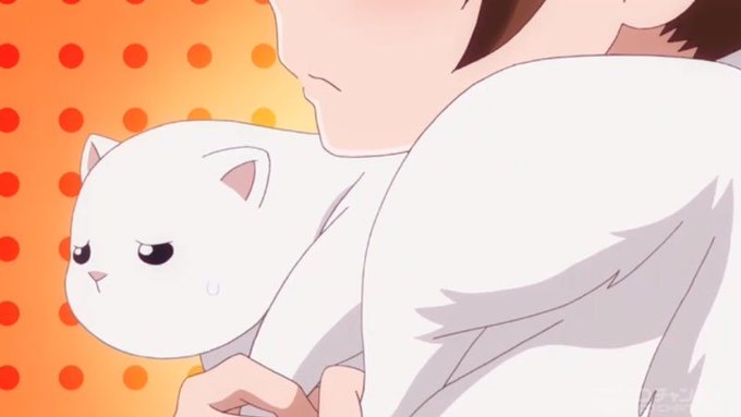 フェレットを巻く幼女考案の斬新なファッションが誕生!? 3分で振り返る『うちのメイドがウザすぎる!』第9話盛り上がったシ フェレットを巻く幼女考案の斬新なファッションが誕生!? 3分で振り返る『うちのメイドがウザすぎる!』第9話盛り上がったシ