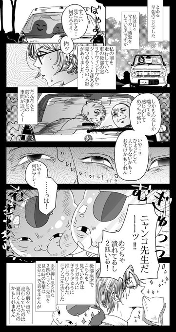 うまく衝撃が伝え辛いけど、夏目友人帳みたいな話 #知らない猫の話 うまく衝撃が伝え辛いけど、夏目友人帳みたいな話 #知らない猫の話