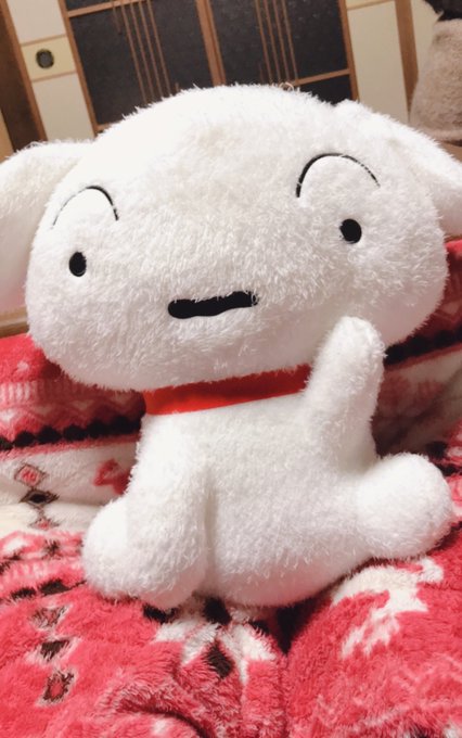 やっと届いた😁シロ可愛い😆#シロ #クレヨンしんちゃん やっと届いた😁シロ可愛い😆#シロ #クレヨンしんちゃん