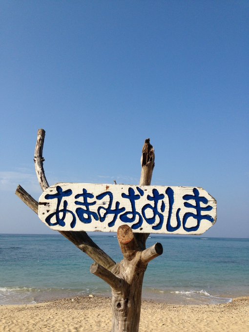 春しか行ったことないけど、冬の奄美も気になる🏝 #奄美大島 #衝撃リポー島 #バニラエア #beach #island 春しか行ったことないけど、冬の奄美も気になる🏝 #奄美大島 #衝撃リポー島 #バニラエア #beach #island