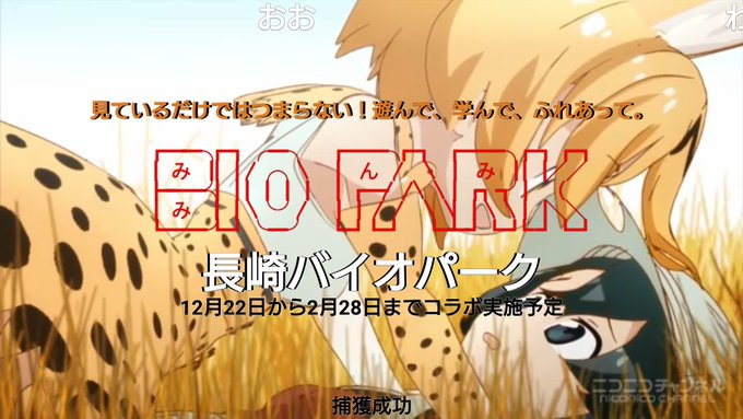 けものフレンズ1話のコメントの中でもこの2つがすこ #けものフレンズ けものフレンズ1話のコメントの中でもこの2つがすこ #けものフレンズ