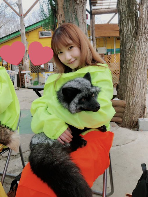 休憩中〜!先日、ゆきやまちほーに行ってきました☺︎ぎんぎつねさん抱っこしてきたよ〜♪#けものフレンズ 休憩中〜!先日、ゆきやまちほーに行ってきました☺︎ぎんぎつねさん抱っこしてきたよ〜♪#けものフレンズ