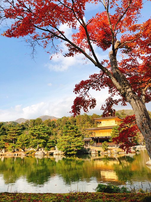 紅葉の時期も終わり、本格的に寒くなってきましたね。まだまだラフィーネ入居募集しています!お電話お待ちしております。#ラフ 紅葉の時期も終わり、本格的に寒くなってきましたね。まだまだラフィーネ入居募集しています!お電話お待ちしております。#ラフ