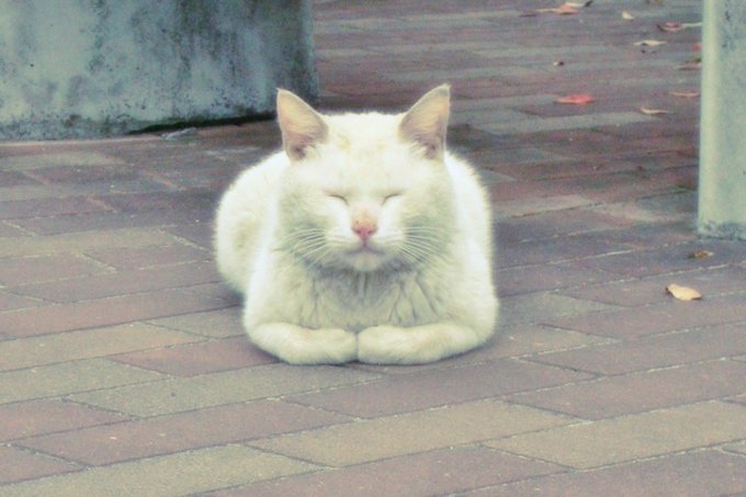 転送中に見つけた過去写真。ドラゴンボールにこんな人いたよな 転送中に見つけた過去写真。ドラゴンボールにこんな人いたよな