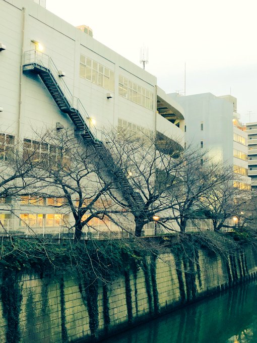 目黒川沿いのヤマト運輸の非常階段がなぜか、千と千尋の神隠しに出てくる釜じいのところへと続く階段に見えた。千が駆け下りると 目黒川沿いのヤマト運輸の非常階段がなぜか、千と千尋の神隠しに出てくる釜じいのところへと続く階段に見えた。千が駆け下りると