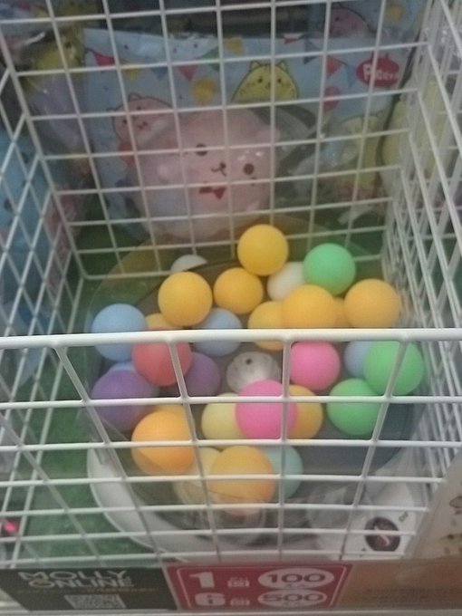 森で散財しばらくクレゲは自粛します(´;Д;`) 森で散財しばらくクレゲは自粛します(´;Д;`)