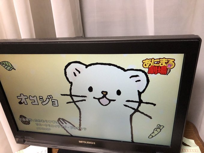 すわわーるどの途中でオコヤマ。#オコジョとヤマネ #mxtv すわわーるどの途中でオコヤマ。#オコジョとヤマネ #mxtv