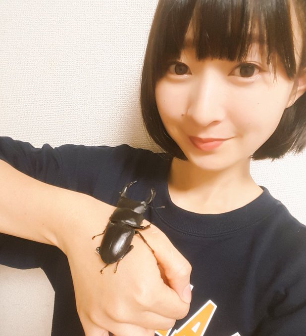 うちで産まれ育ったイケメン蒙恬(大好きな #キングダム から名前をいただいています)が、越冬前に新しいおうちに…大喜びで うちで産まれ育ったイケメン蒙恬(大好きな #キングダム から名前をいただいています)が、越冬前に新しいおうちに…大喜びで