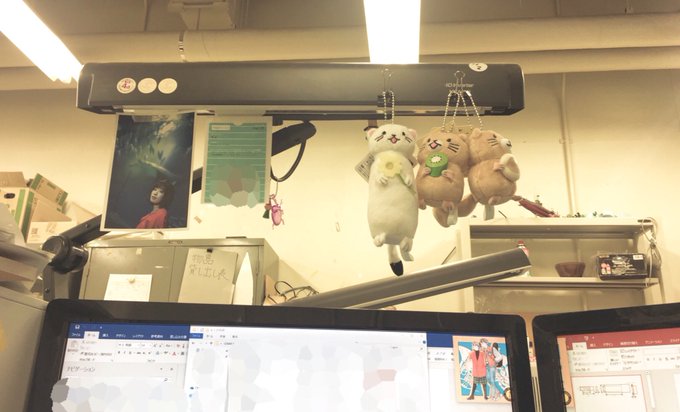 オコジョとヤマネとヤマネ🙌新宿のゲーセンで取ったんだけどすごい簡単だった…!研究室のマイデスクに飾ったしずく出して卒論終 オコジョとヤマネとヤマネ🙌新宿のゲーセンで取ったんだけどすごい簡単だった…!研究室のマイデスクに飾ったしずく出して卒論終