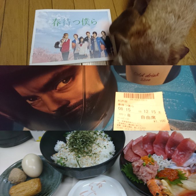 #春僕アツい #春待つ僕ら8時15分からのは早朝の為貸切で1人でゆっくり観れた君の膵臓をたべたいの北村匠海、ういらぶの磯 #春僕アツい #春待つ僕ら8時15分からのは早朝の為貸切で1人でゆっくり観れた君の膵臓をたべたいの北村匠海、ういらぶの磯