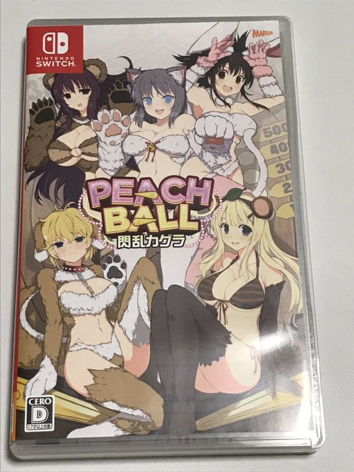 閃乱カグラのピンボールゲームを購入。ピンボールのゲームは最近だと海外ばかりで国内だとスイッチの簡易タイプしか出ていなかっ 閃乱カグラのピンボールゲームを購入。ピンボールのゲームは最近だと海外ばかりで国内だとスイッチの簡易タイプしか出ていなかっ