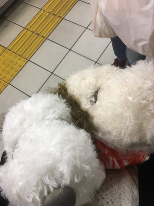 散財💸スヌーピー 散財💸スヌーピー
