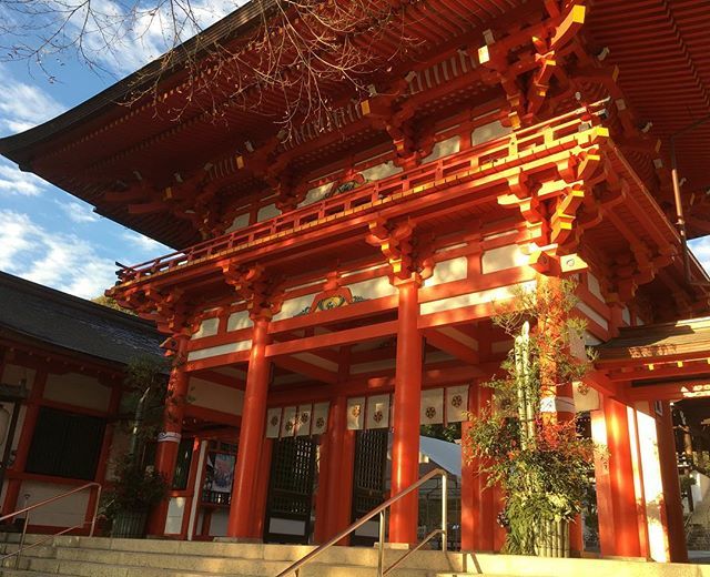 今朝の近江神宮門松🎍飾られました!#滋賀県 #大津 #神社 #ちはやふる #ちはやふる結び #写真好きな人と繋がりたい 今朝の近江神宮門松🎍飾られました!#滋賀県 #大津 #神社 #ちはやふる #ちはやふる結び #写真好きな人と繋がりたい
