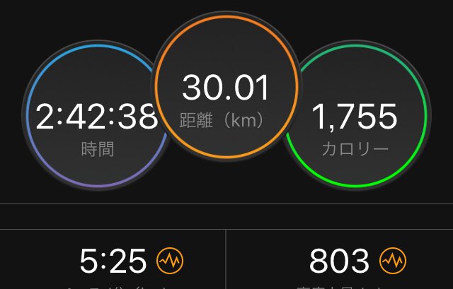 年内最後となる月例のチーム練習は30km走。つくば以来まともに走ってなかったので、終始5'40/kmでと思ったが、コーチ 年内最後となる月例のチーム練習は30km走。つくば以来まともに走ってなかったので、終始5'40/kmでと思ったが、コーチ
