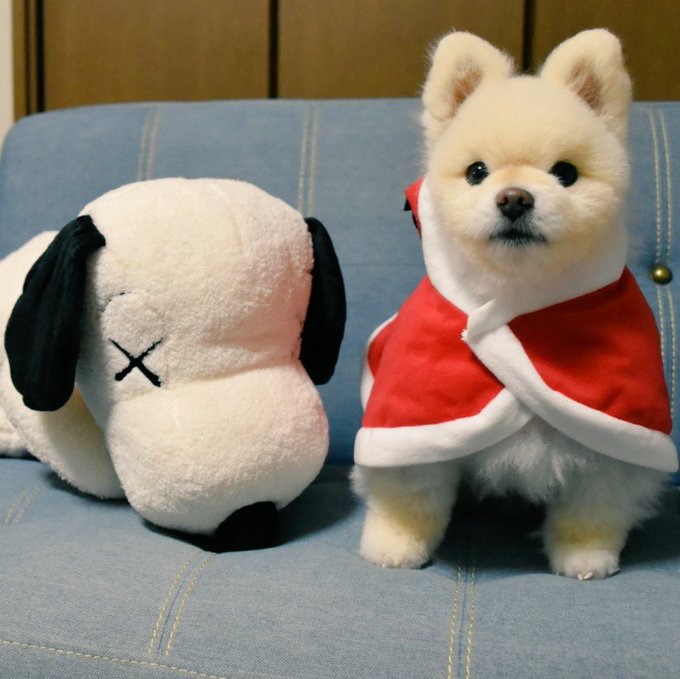 こんにちは👋😃寒いので仲良しのスヌーピーにマフラーを巻いてあげました🐕楽しい日曜日を(^o^)/ こんにちは👋😃寒いので仲良しのスヌーピーにマフラーを巻いてあげました🐕楽しい日曜日を(^o^)/