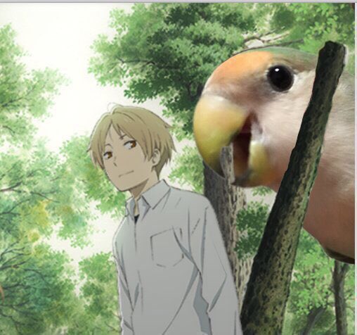 何年か前夏目友人帳の絵にピノを貼り付けてみた画像が出てきた。頭の横に置けば貴志くんをかっさらいそうだし、友人帳の脇に置け 何年か前夏目友人帳の絵にピノを貼り付けてみた画像が出てきた。頭の横に置けば貴志くんをかっさらいそうだし、友人帳の脇に置け