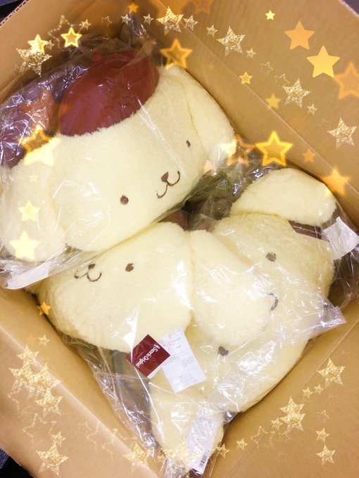 うぉぉぉぉぁぁぁぁありがとうございます!!!! ネル太 #サンリオ #ミラクルステージ #サンリオ男子 うぉぉぉぉぁぁぁぁありがとうございます!!!! ネル太 #サンリオ #ミラクルステージ #サンリオ男子