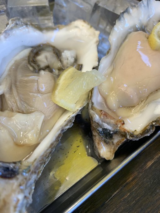 牡蠣!生牡蠣‼️んー、昨日食べ物写真がこれしかないってなんなんだ 笑最後パクチー餃子一個食べた後の記憶は無い…頂戴いたし 牡蠣!生牡蠣‼️んー、昨日食べ物写真がこれしかないってなんなんだ 笑最後パクチー餃子一個食べた後の記憶は無い…頂戴いたし