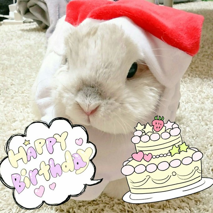ルクちゃん💗HappyBirthday🐣🌈💓12歳おめでと:*:・(*´ω`pq゛お月さまではパーチーして大盛りあがり ルクちゃん💗HappyBirthday🐣🌈💓12歳おめでと:*:・(*´ω`pq゛お月さまではパーチーして大盛りあがり