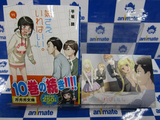 【書籍入荷情報】ガガガ文庫『妹さえいればいい。 11巻』『妹さえいればいい。 11巻 カードゲーム付き特装版』入荷致しま 【書籍入荷情報】ガガガ文庫『妹さえいればいい。 11巻』『妹さえいればいい。 11巻 カードゲーム付き特装版』入荷致しま