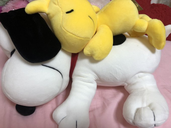 貰ったスヌーピーとウッドストック重ねておいたら可愛かったからそのまんまベッド持ってったらあっち向いちゃった(´·ω·`) 貰ったスヌーピーとウッドストック重ねておいたら可愛かったからそのまんまベッド持ってったらあっち向いちゃった(´·ω·`)