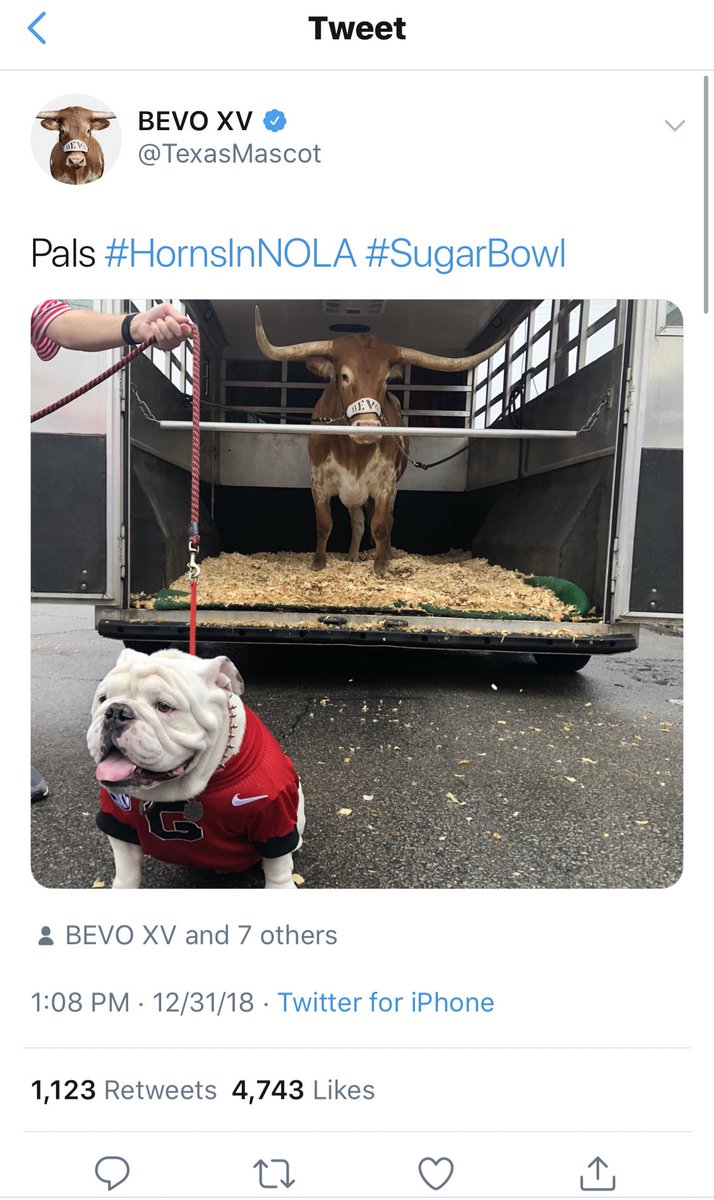 157 best Barstoolbigcat images on Pholder Barstool Big Cat, Pardon My