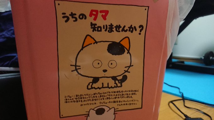 うちのタマ知りませんか?とワイのタマ知りませんか⁉ うちのタマ知りませんか?とワイのタマ知りませんか⁉