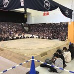 Dv8CKPXV4AAIx5I.jpg:thumb