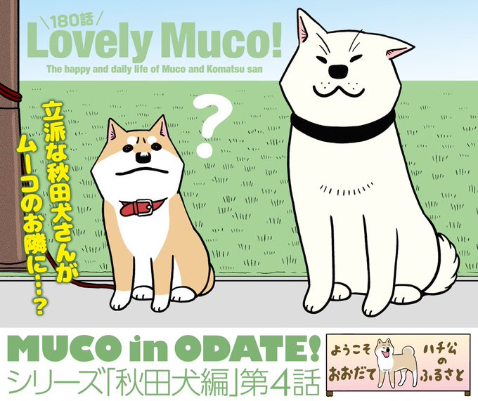 本日発売イブニング2号の『いとしのムーコ』はシリーズ「秋田犬編」の第4話!お土産を買いに行ったこまつさんを待つムーコの隣 本日発売イブニング2号の『いとしのムーコ』はシリーズ「秋田犬編」の第4話!お土産を買いに行ったこまつさんを待つムーコの隣
