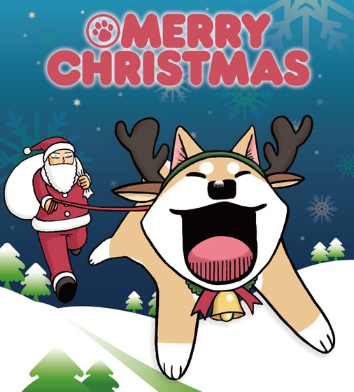 みんなプレゼントもらったかな?ムーコからメリークリスマスでーす! #秋田 #ムーコ #柴犬 #秋田犬 #AKITA # みんなプレゼントもらったかな?ムーコからメリークリスマスでーす! #秋田 #ムーコ #柴犬 #秋田犬 #AKITA #
