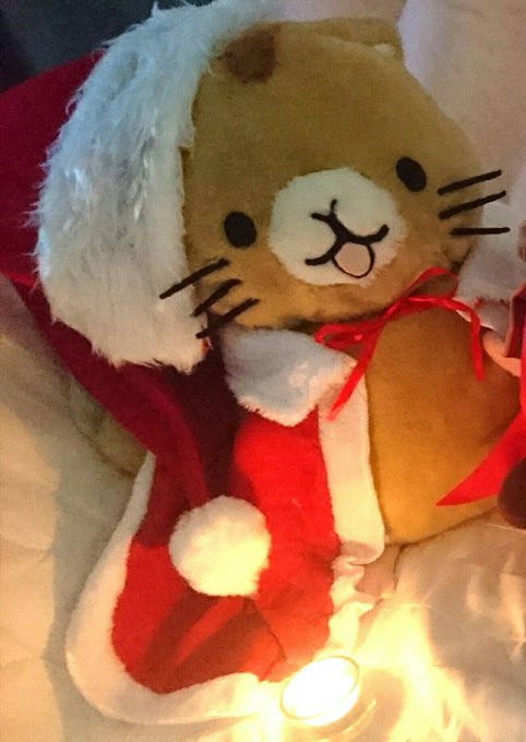 クリヤマ!100均装備たけど可愛くなったんじゃないでしょうか?#オコジョとヤマネ クリヤマ!100均装備たけど可愛くなったんじゃないでしょうか?#オコジョとヤマネ