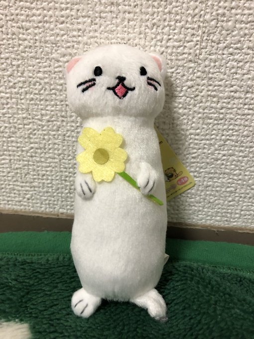インターンのついでに、東京で念願のオコジョグッズを手に入れることができました(めっちゃかわいい)#オコジョとヤマネ インターンのついでに、東京で念願のオコジョグッズを手に入れることができました(めっちゃかわいい)#オコジョとヤマネ